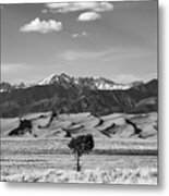 Great Sand Dunes Metal Print