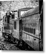 Great Smokey Mountain Railroad Looking Out At The Train In Black And White Metal Print