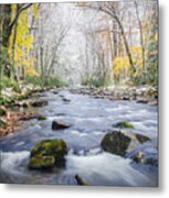 Great Smoky Mountains National Park Nc - Two Seasons In One Day Metal Print