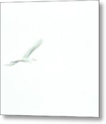 Great White Egret Impressionistic Style Metal Print