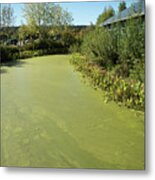 Green Ditch And Visitor Center Metal Print