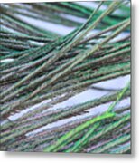 Green Feathers Metal Print