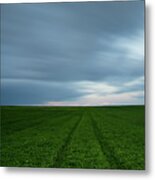 Green Field And Cloudy Sky Metal Print