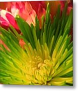 Green Focus Metal Print