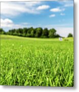 Green Golf Course With Blue Sky. Metal Print