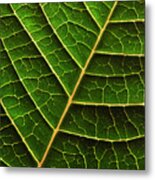 Green Leaf Macro Metal Print