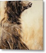 Grizzly Bear 2 Metal Print