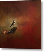 Ground Level Red Tailed Hawk Art Metal Print
