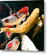 Group Of Koi Fish Metal Print