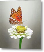 Gulf Fritillary On Flower Metal Print