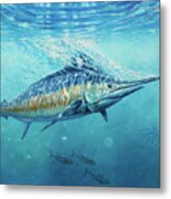 Gulf Stream Metal Print