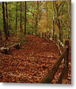 Gunpowder Falls Park Metal Print