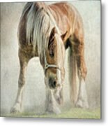 Gypsy In Morning Mist. Metal Print