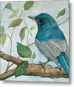 Hainan Blue Flycatcher Metal Print