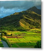 Hanalei Valley Taro Fields Metal Print