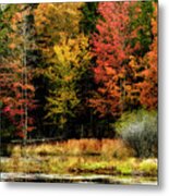 Handley Wildlife Managment Area Metal Print