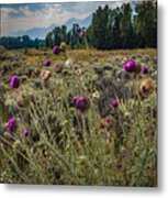Happier In The Mountains Metal Print
