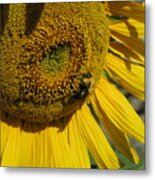 Happy Bumble Bee Metal Print