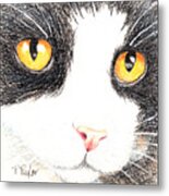 Happy Cat With The Golden Eyes Metal Print