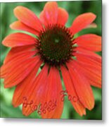 Happy Face Flower Metal Print