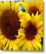 Happy Sunflowers Metal Print