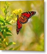 Happy Wings Metal Print