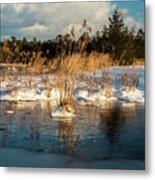 Hard Frosts And Icy Drafts Metal Print
