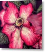 Hawaii Flower Metal Print