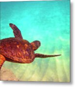 Hawaiian Green Sea Turtle Metal Print
