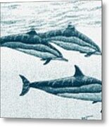 Hawaiian Spinner Dolphin Blue Metal Print
