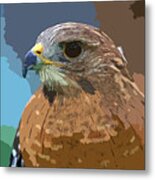 Hawk Metal Print