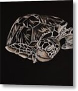 Hawksbill Turtle Metal Print