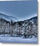 Hdr Snow Trees Metal Print