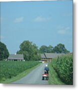 Heading Home From The Market Metal Print