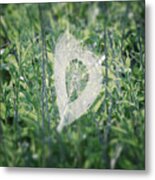 Hearts In Nature - Heart Shaped Web Metal Print