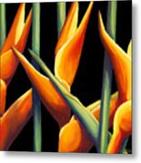 Heliconia Metal Print