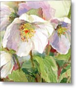 Hellebore Metal Print