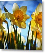 Hello Spring Metal Print