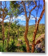 Heritage View, John Forest National Park Metal Print