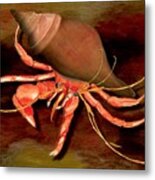 Hermit Crab Metal Print