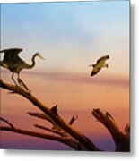 Heron And Osprey At Sunset Metal Print