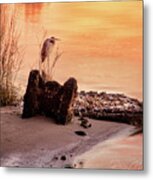 Heron On The Rocks Metal Print