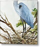 Herons Nest Metal Print