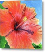 Hibiscus Passion Metal Print