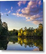 Hidden Light Metal Print