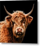 Highland Cow #1 Metal Print