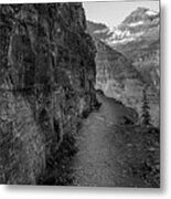 Highland Trail Black And White In Glacier National Park Metal Print