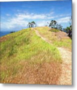 Hike To Whaler's Point Great Barrier Island New Zealand Metal Print