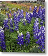 Hill Country Palette Metal Print