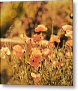 Hillside Poppies And Sunset Metal Print